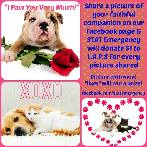 STAT Emergency Center's Valentine's Day Pet Photo Contest