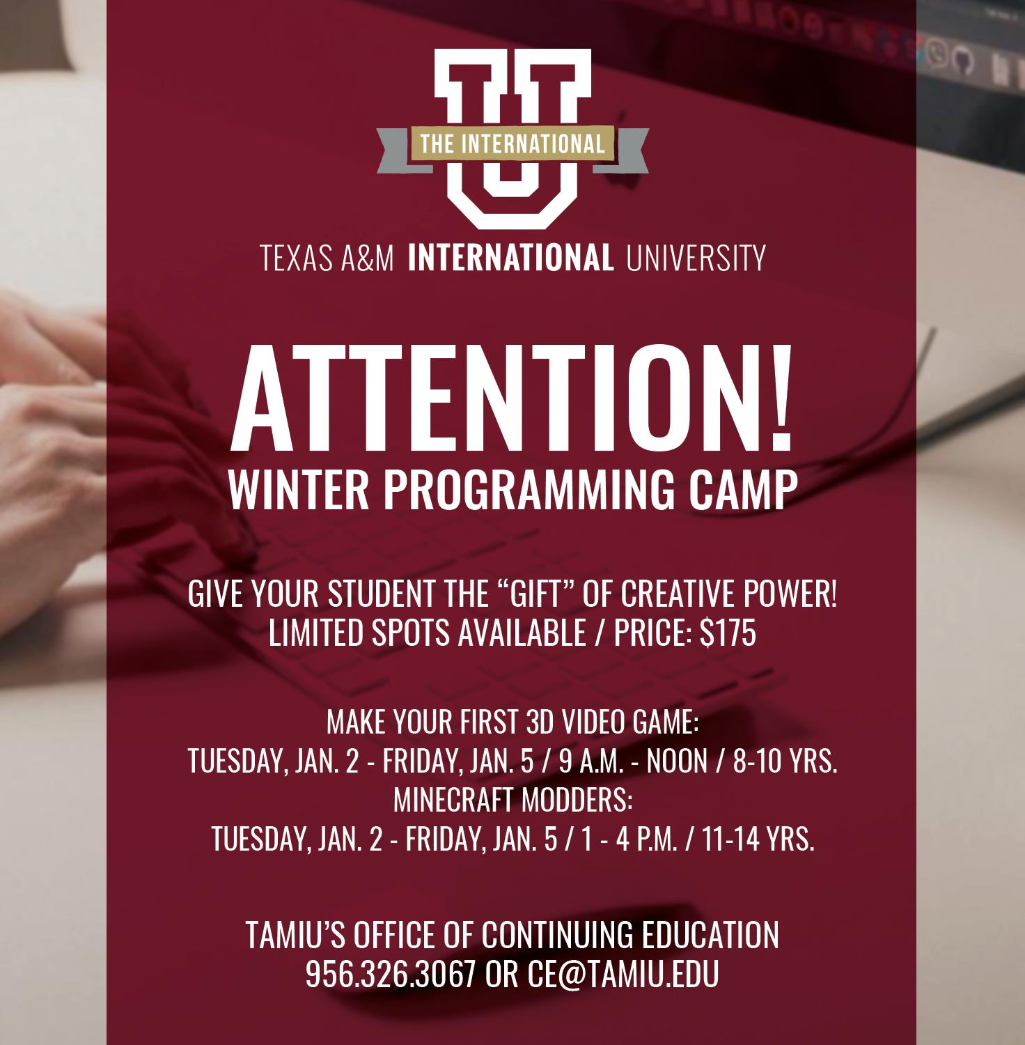 TAMIU Winter Programming Camp
