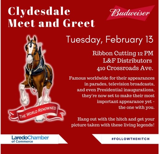 Budweiser Clydesdale Meet & Greet